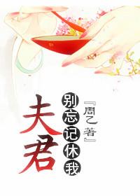 夫君别忘记休我大结局