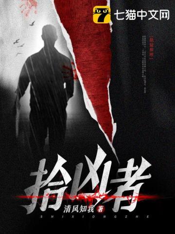 拾凶者为原型的电视剧是哪一部