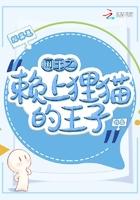 网王猫咪