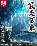 寂灭万乘全本TXT